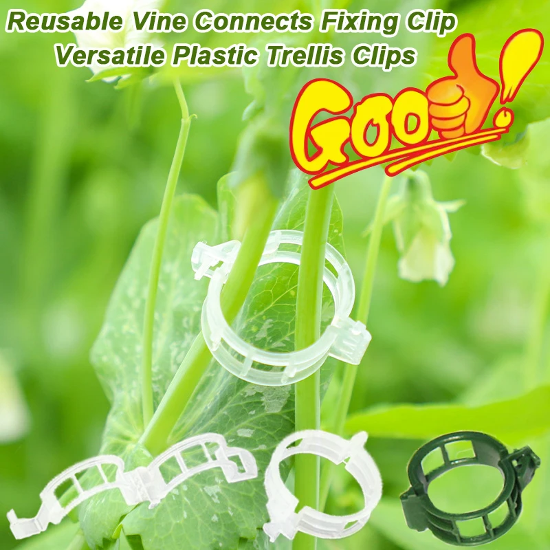 Vine Climbing Plastic - Reusable Vine Connects Fixing Clip plastic