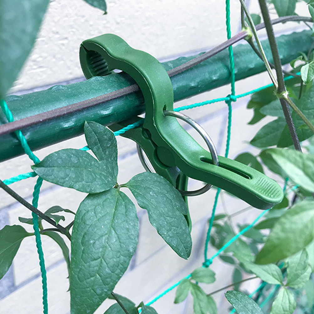 Vine Climbing Plastic - 60Pcs Garden Plant Clips Plastic Plant