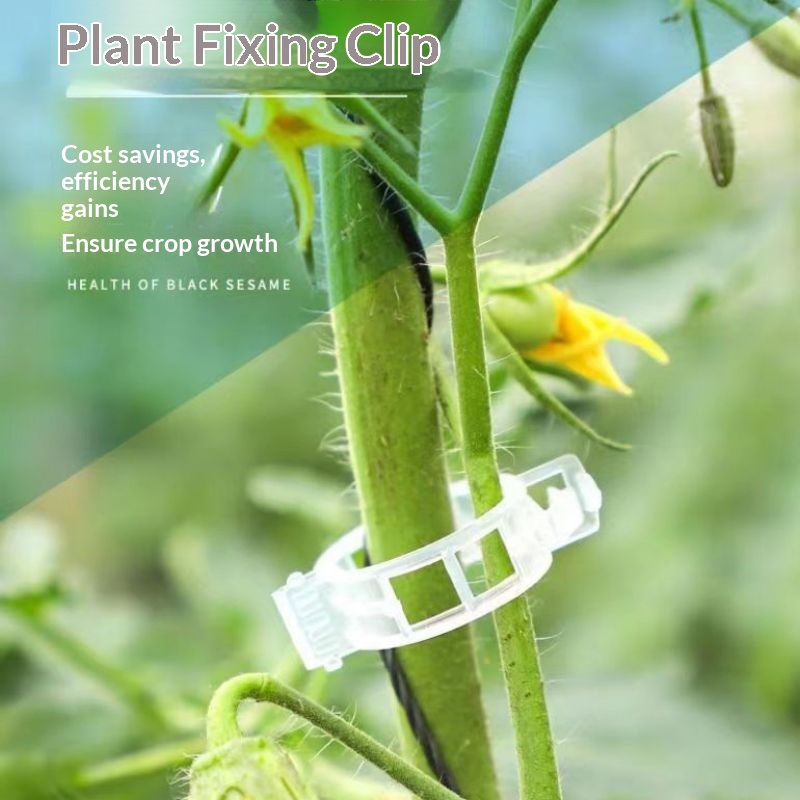 Vine Climbing Plastic - Plastic Plant Support Clips Reusable Vine