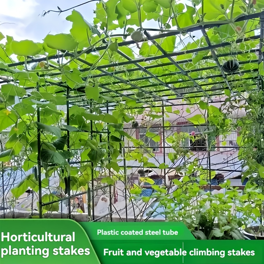 Pop Rustproof Vegetable Climbi - đánh giá và giá Vine Climbing Plastic
