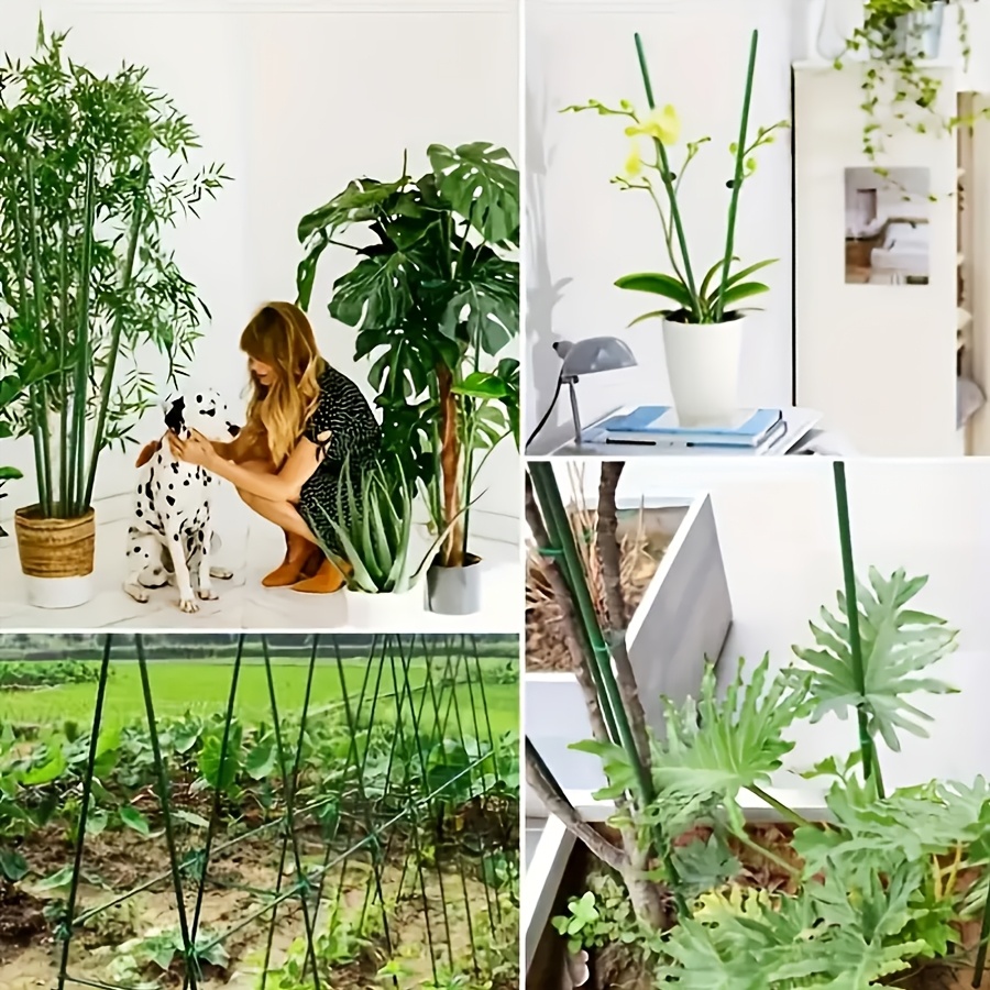Pop Rustproof Vegetable Climbi - đánh giá và giá Vine Climbing Plastic