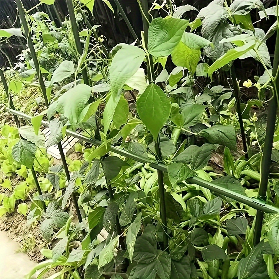 Pop Rustproof Vegetable Climbi - đánh giá và giá Vine Climbing Plastic