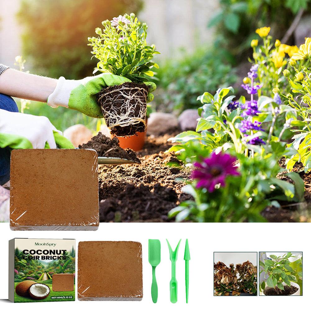 Reptile Coconut Soil Coir Pres - đánh giá và giá Substrate Coconut Fiber