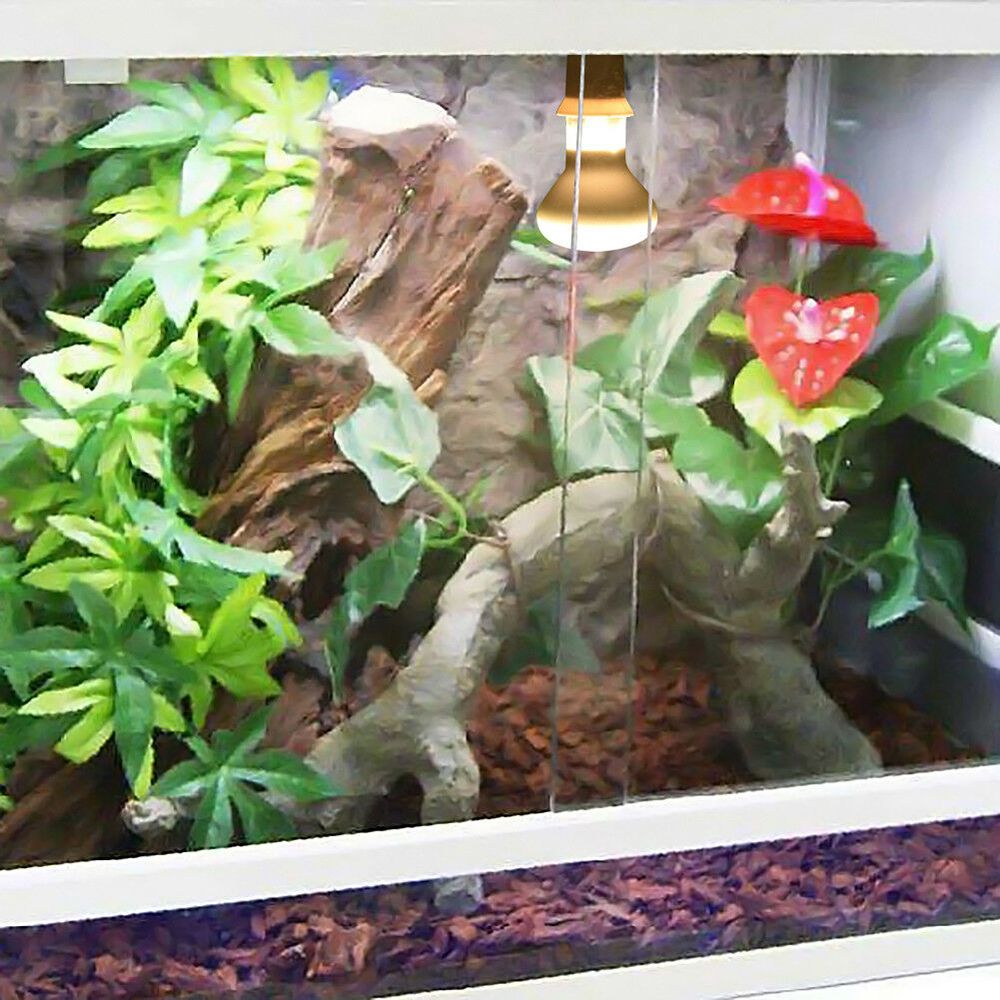 Lizard Temperature Controller  - đánh giá và giá Basking Bulb Halogen