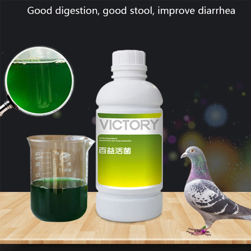 500ml Meat Pigeon Racing Pigeo - đánh giá và giá Vitamin D3 Reptile