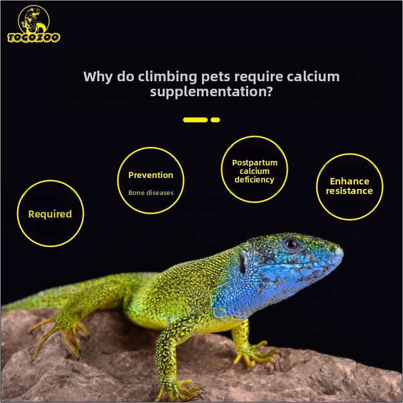 TOGOZOO WILDCAL Reptile Calciu - đánh giá và giá Calcium Powder Reptile