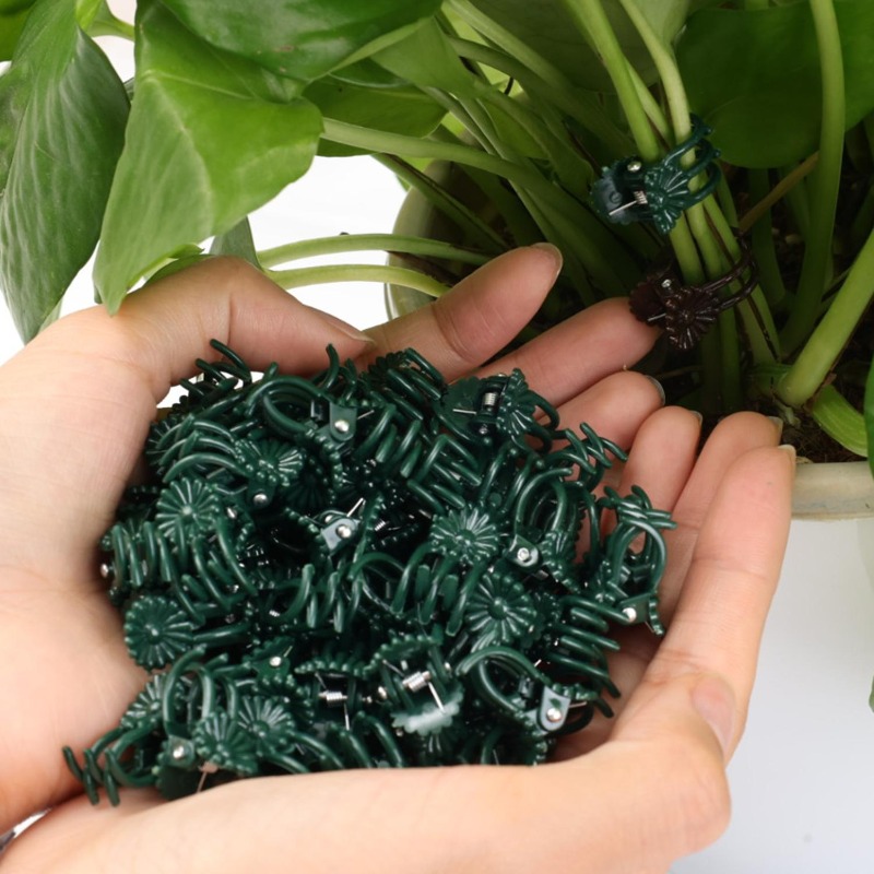 Wholesale Mini Plant Support C - đánh giá và giá Vine Climbing Plastic