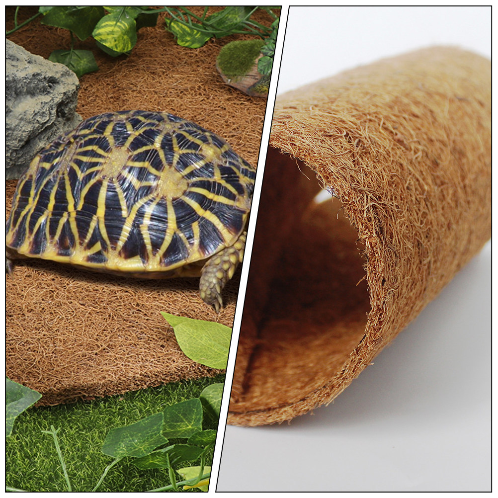 Coconut Substrate for Reptile  - đánh giá và giá Substrate Coconut Fiber