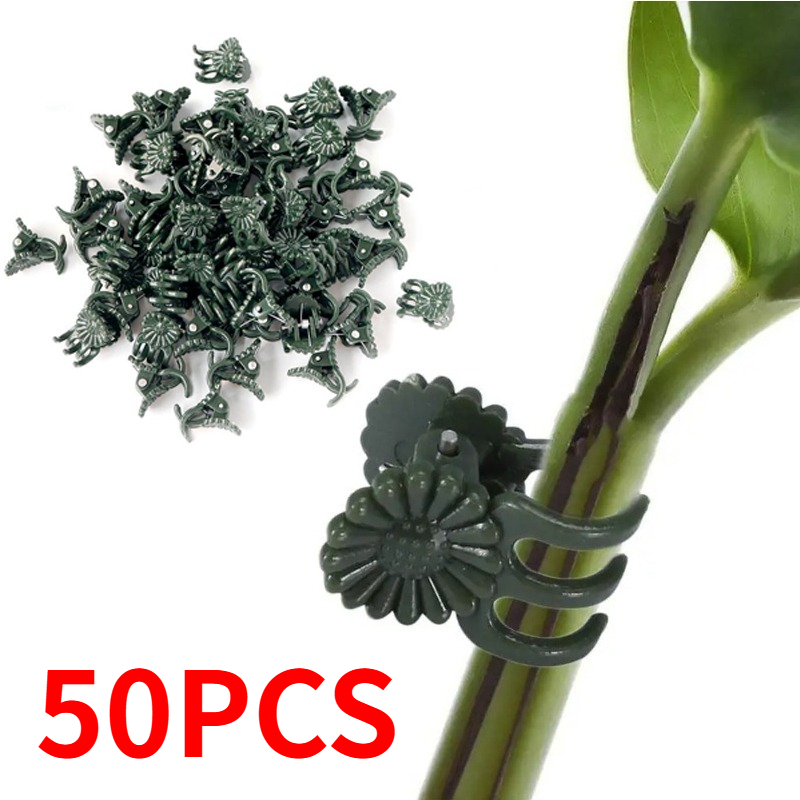50PCS 5-Claw Dark Green Plant  - đánh giá và giá Vine Climbing Plastic