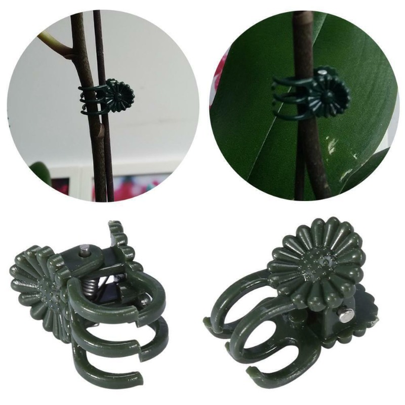 50PCS 5-Claw Dark Green Plant  - đánh giá và giá Vine Climbing Plastic