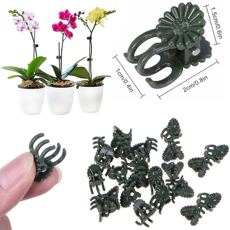 50PCS 5-Claw Dark Green Plant  - đánh giá và giá Vine Climbing Plastic
