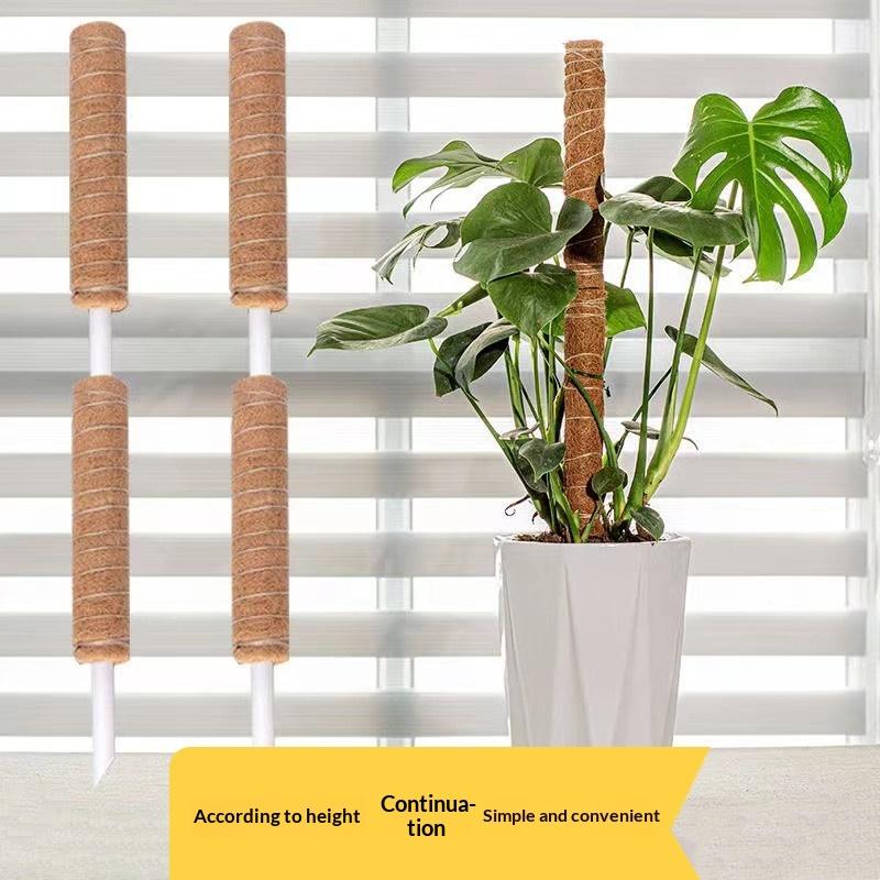 1Pcs Plant Growth Traction Rod - đánh giá và giá Vine Climbing Plastic