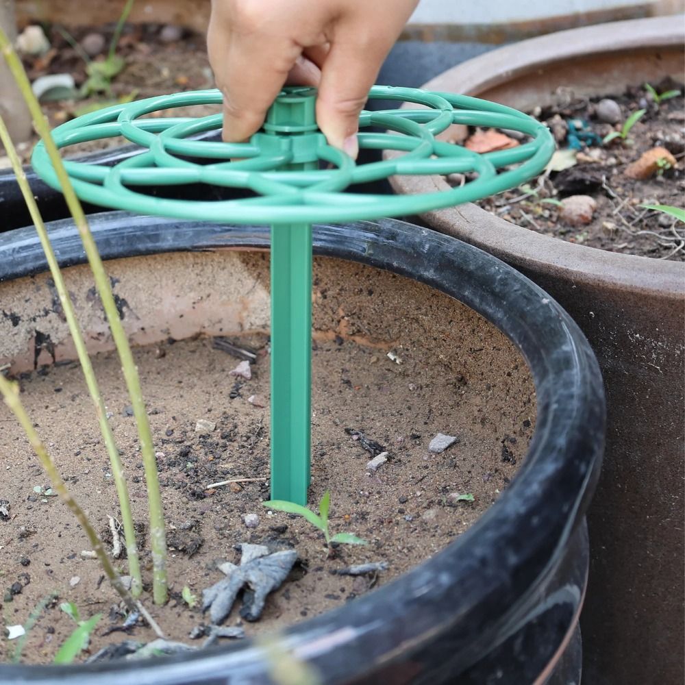 S/M/L Plastic Garden Stackable - đánh giá và giá Vine Climbing Plastic