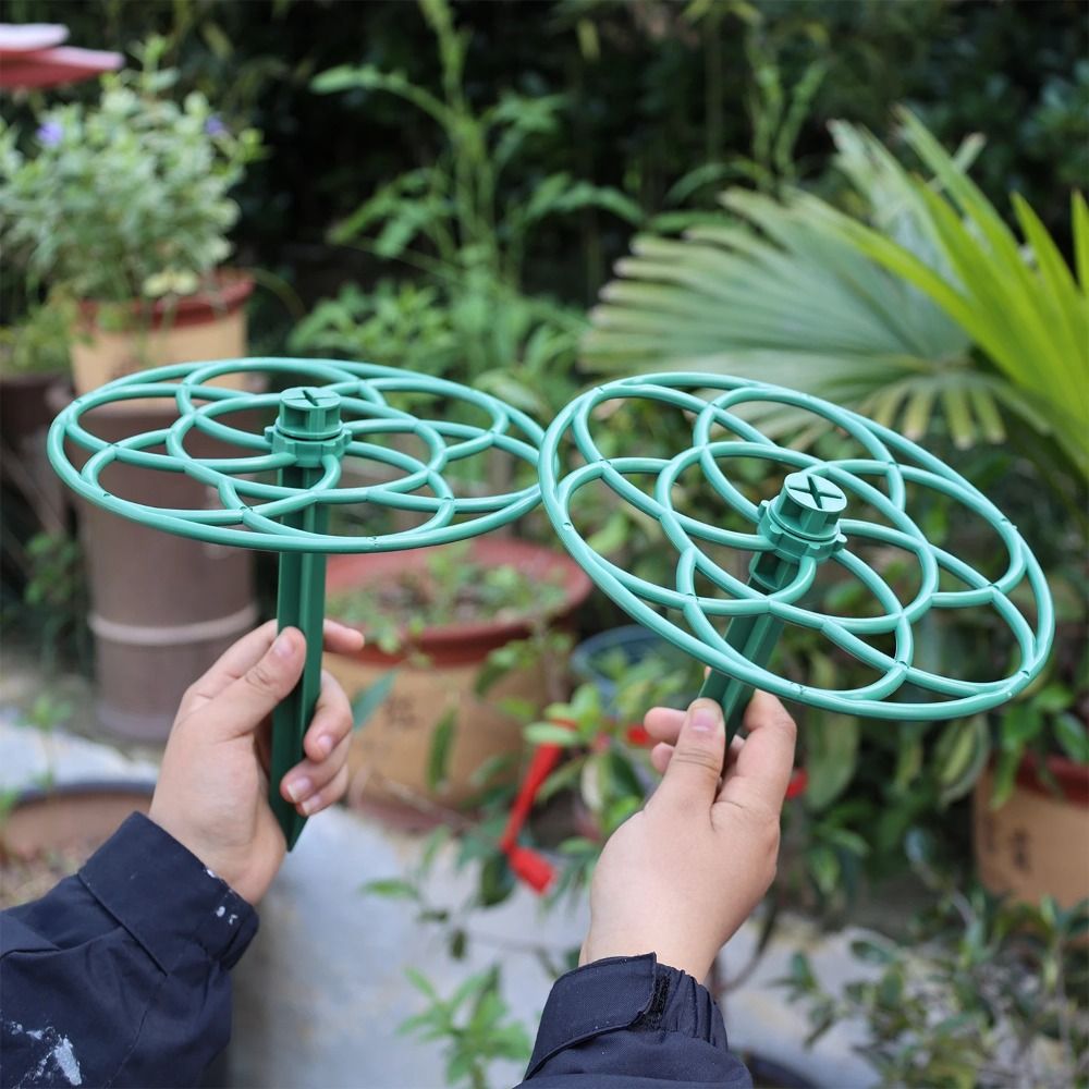 S/M/L Plastic Garden Stackable - đánh giá và giá Vine Climbing Plastic