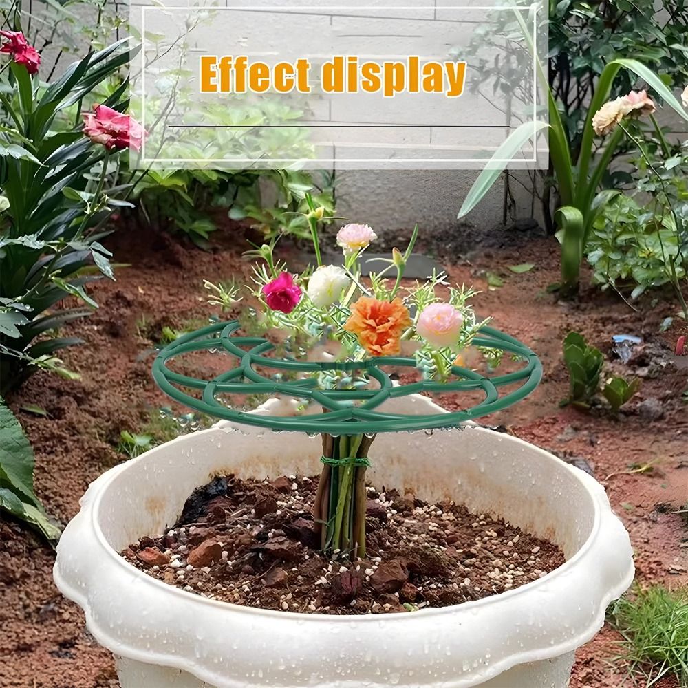 S/M/L Plastic Garden Stackable - đánh giá và giá Vine Climbing Plastic