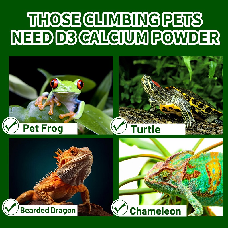 Crawling Pet Vitamin D3 Calciu - đánh giá và giá Vitamin D3 Reptile