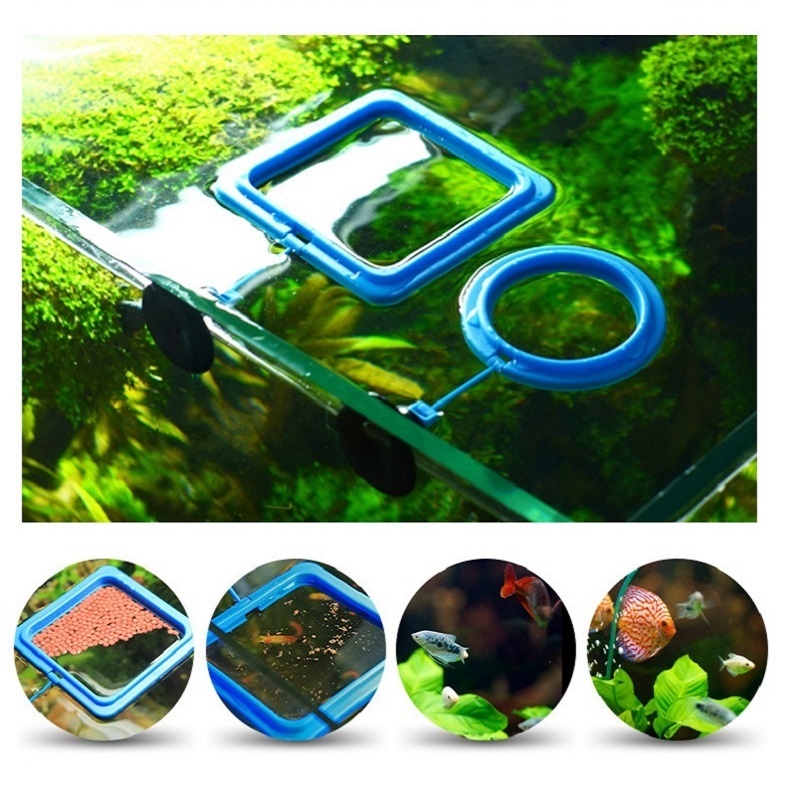 Fish Feeding Ring Feeder Fishi - đánh giá và giá Tetra Food Tropical Flakes