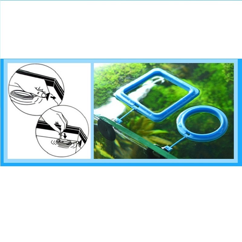 Fish Feeding Ring Feeder Fishi - đánh giá và giá Tetra Food Tropical Flakes