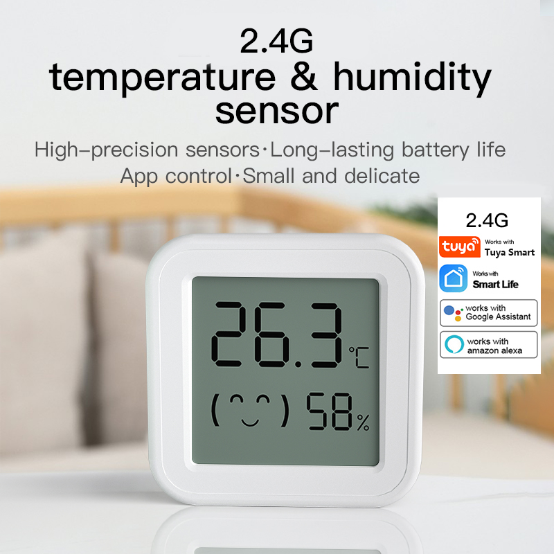 Bluetooth Temperature Humidity - đánh giá và giá Digital Hygrometer Probe
