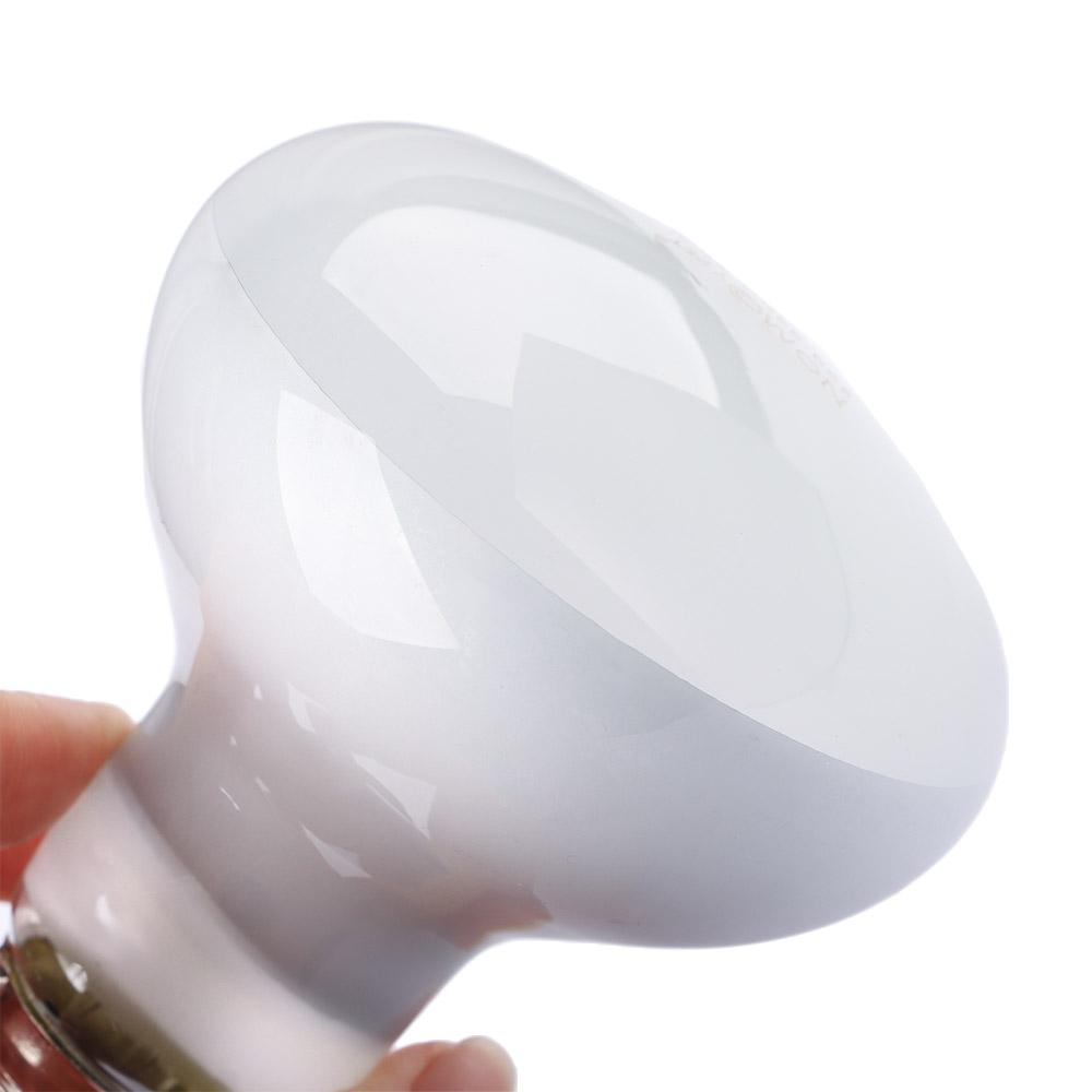 Turtle Heater Temperature Cont - đánh giá và giá Basking Bulb Halogen