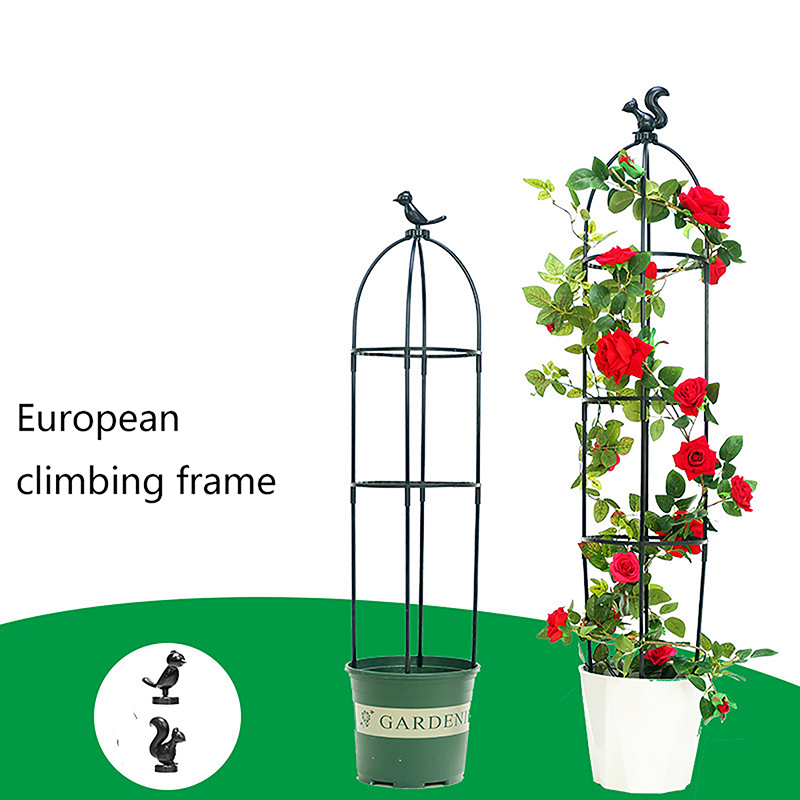 C 1Set Climbing Plant Trellis  - đánh giá và giá Vine Climbing Plastic