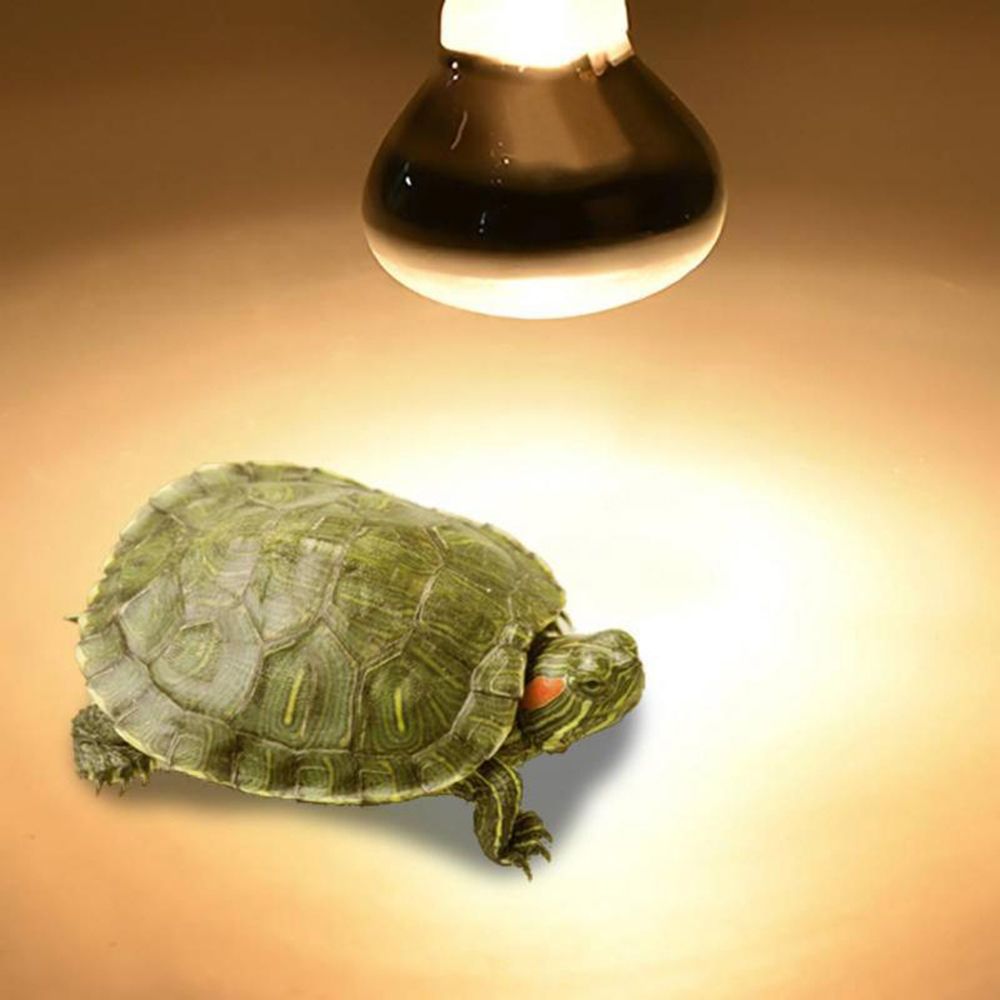 Amphibians Heat Lamp Heater Ha - đánh giá và giá Basking Bulb Halogen
