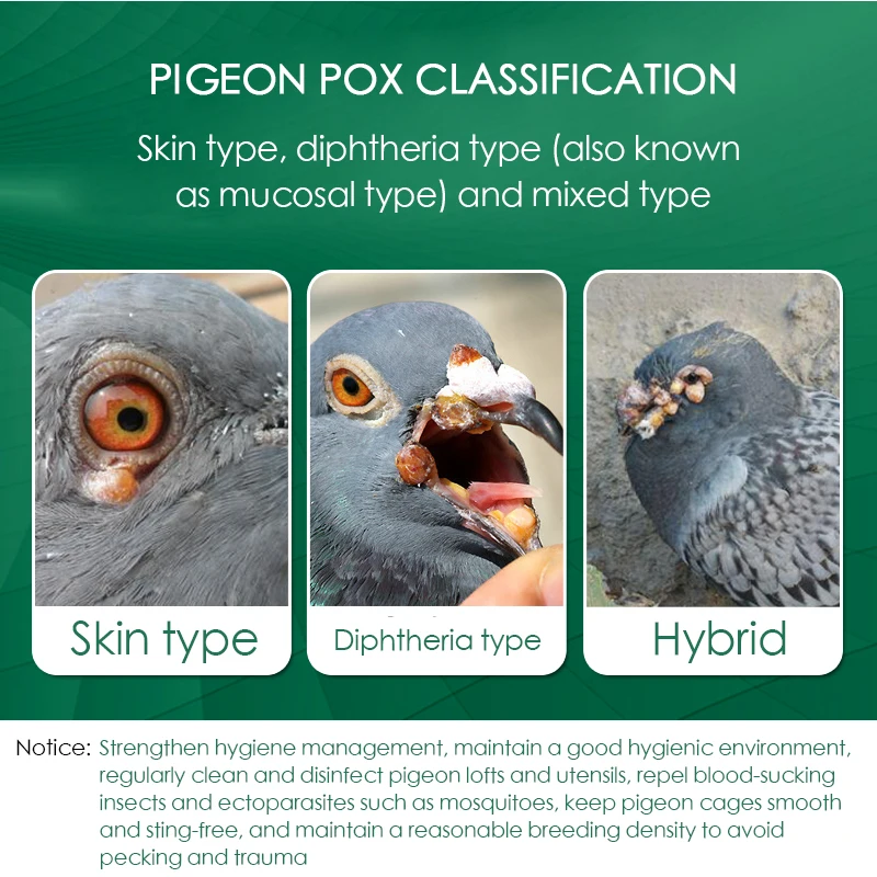 100 Tablets/Box Pigeon Pox Ora - đánh giá và giá Vitamin D3 Reptile