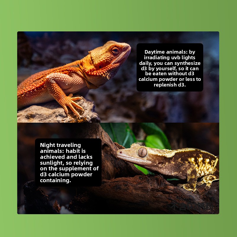 Reptizoo Reptile Calcium Powde - đánh giá và giá Vitamin D3 Reptile
