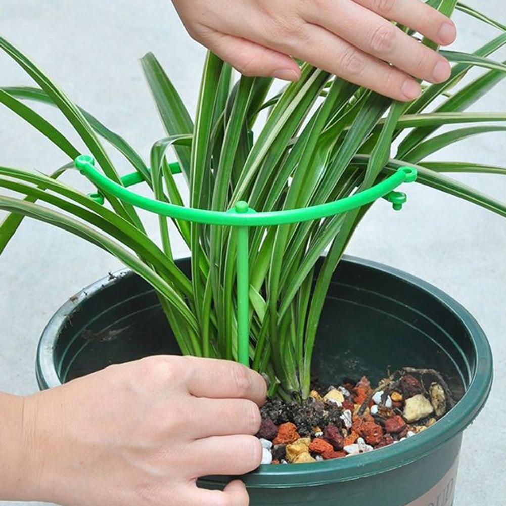 Adjustable Green Checkered Gar - đánh giá và giá Vine Climbing Plastic