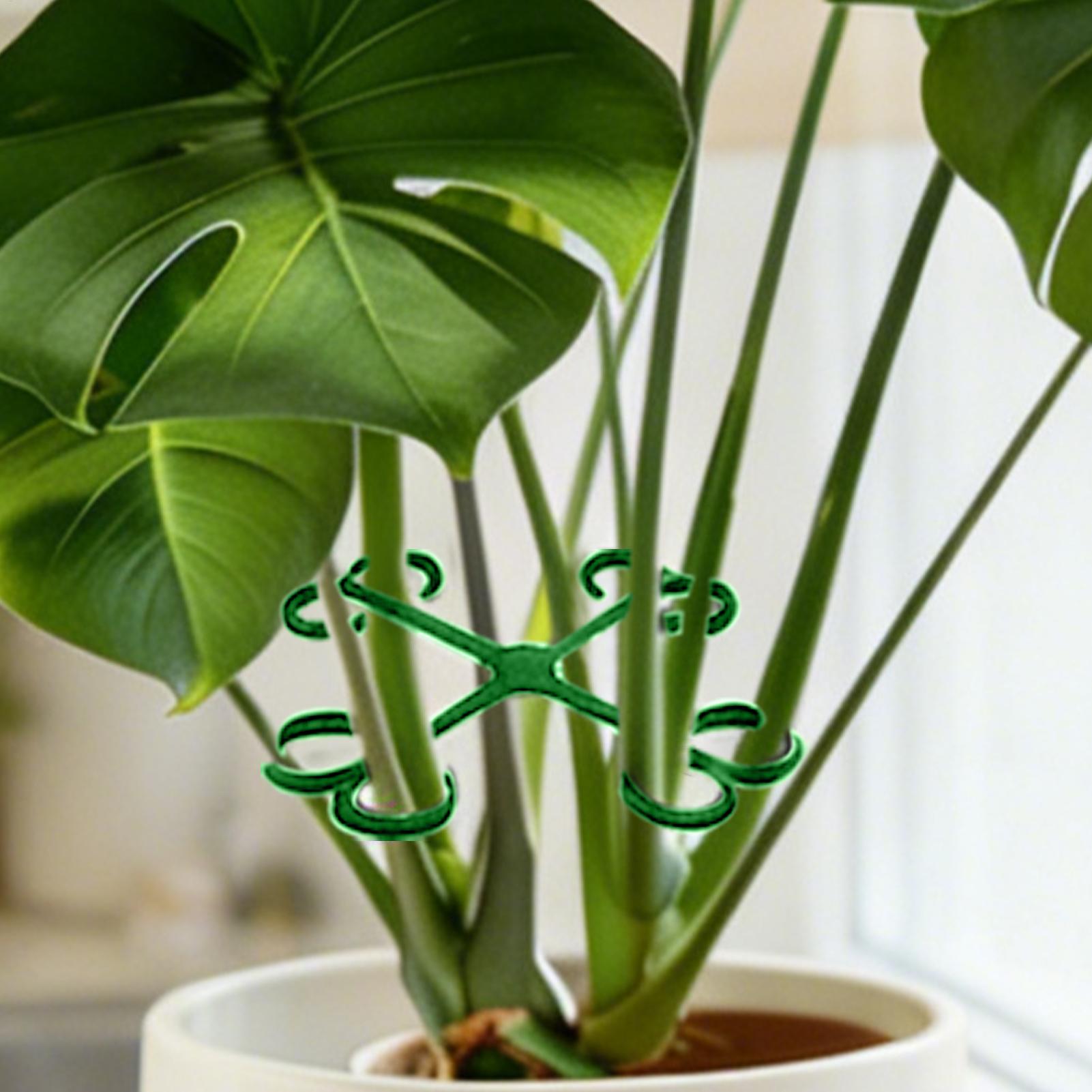 4Pcs Plant Stem Support Clips  - đánh giá và giá Vine Climbing Plastic