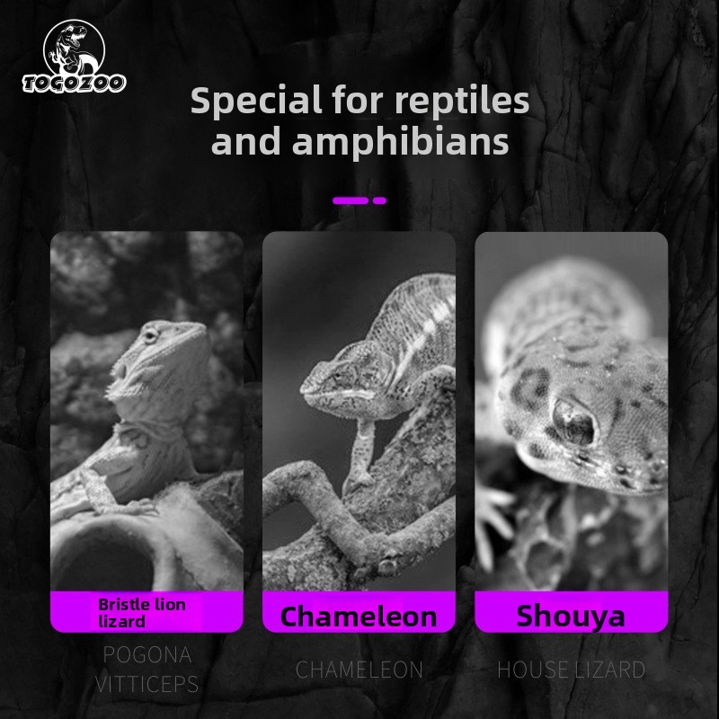 TOGOZOO WILD-VIT Reptile Calci - đánh giá và giá Calcium Powder Reptile