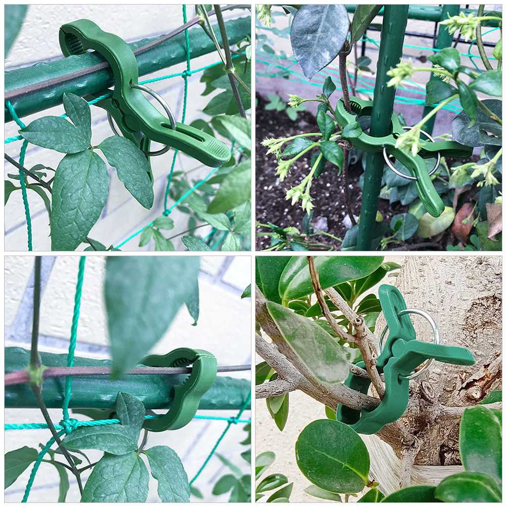 60Pcs Garden Plant Clips Plast - đánh giá và giá Vine Climbing Plastic