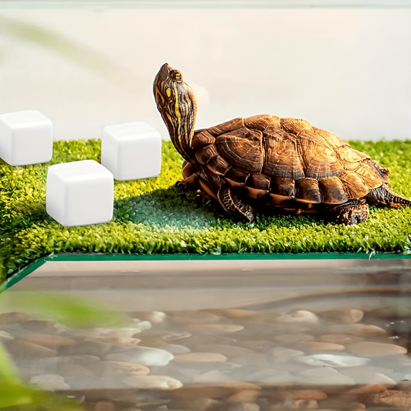 6Pcs Fish Tank Calcium Block M - đánh giá và giá Calcium Powder Reptile