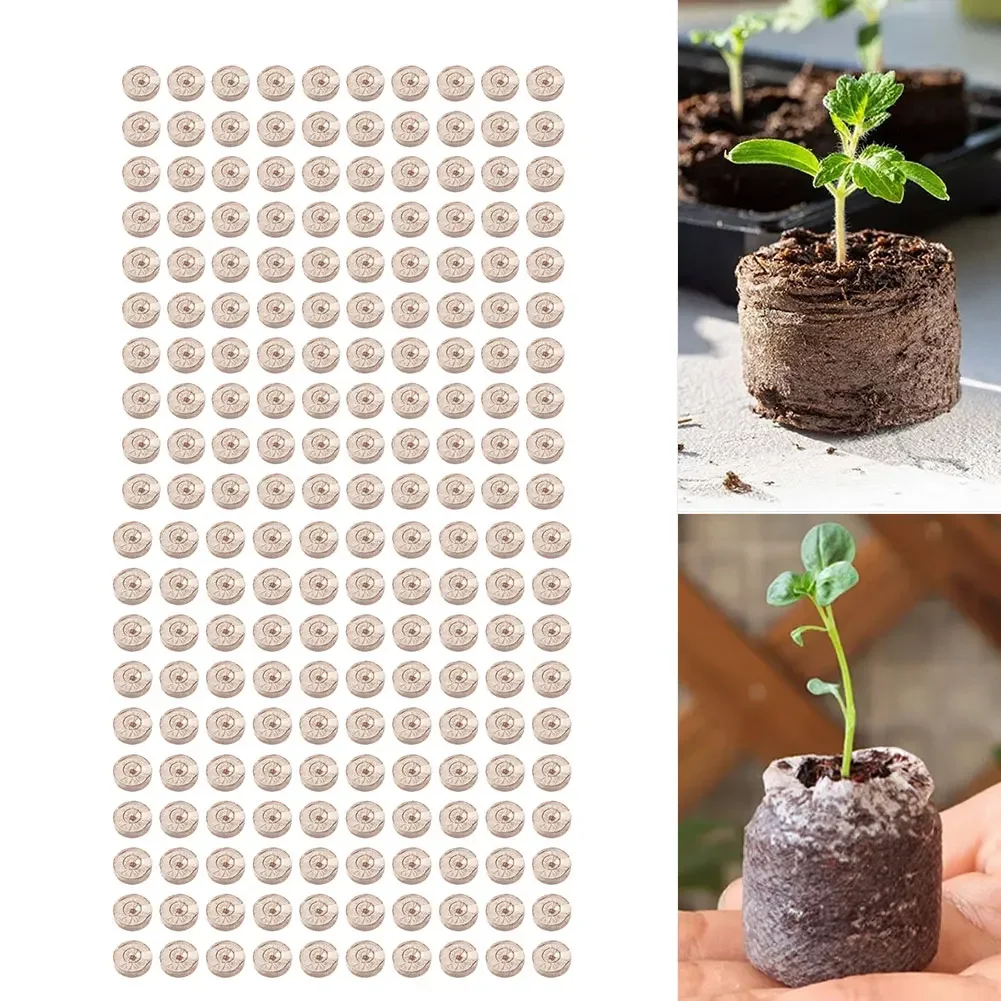 100pcs Compressed Coco Coir Pe - đánh giá và giá Substrate Coconut Fiber
