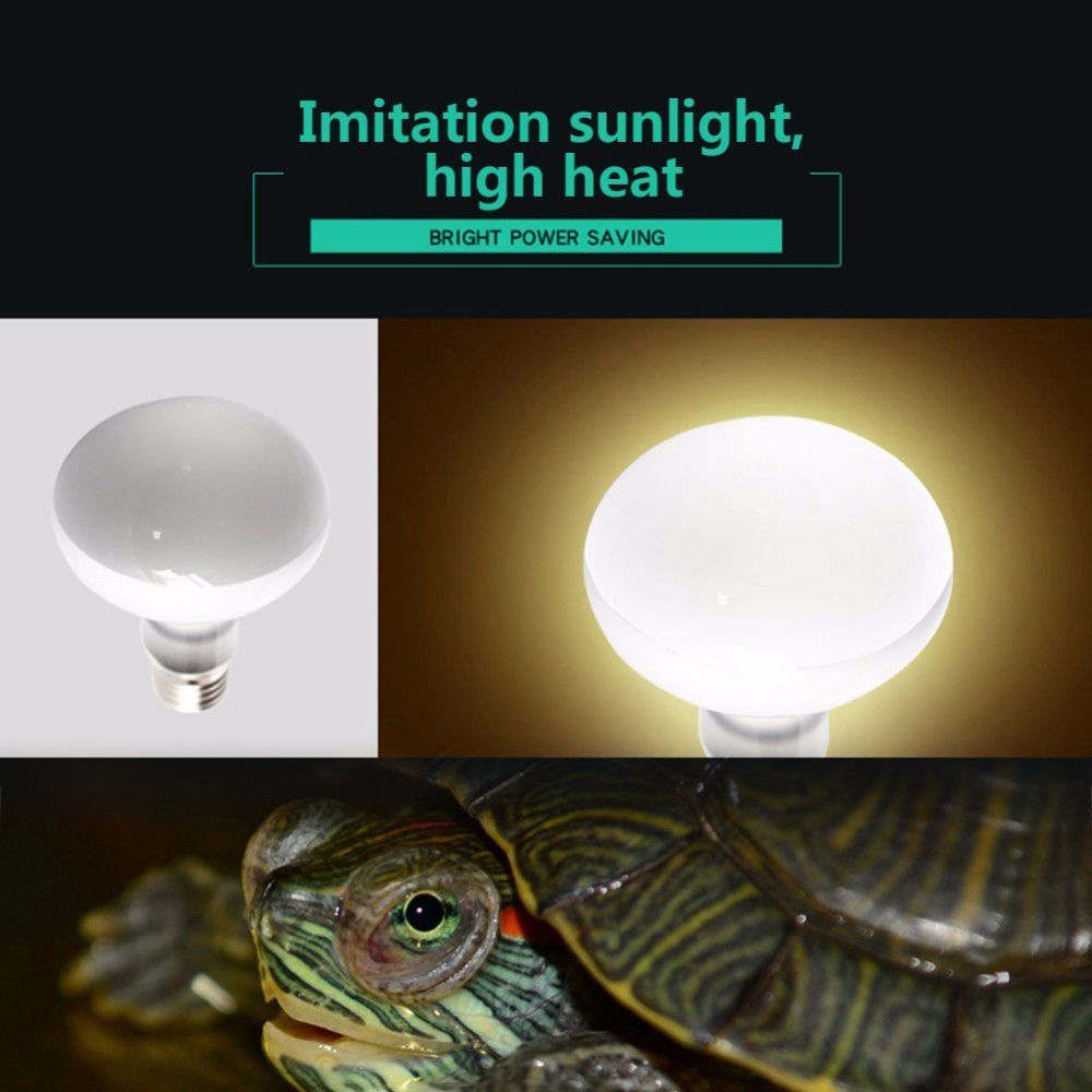 Amphibians Heat Lamp Temperatu - đánh giá và giá Basking Bulb Halogen