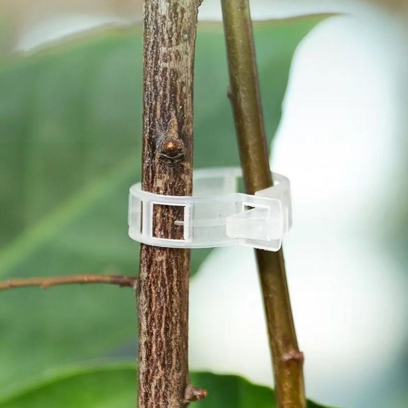 Plastic Plant Support Clips Re - đánh giá và giá Vine Climbing Plastic