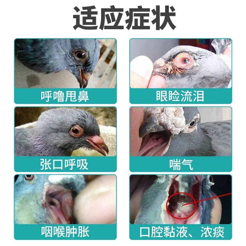 Parrots Meat Pigeons Chicken D - đánh giá và giá Vitamin D3 Reptile